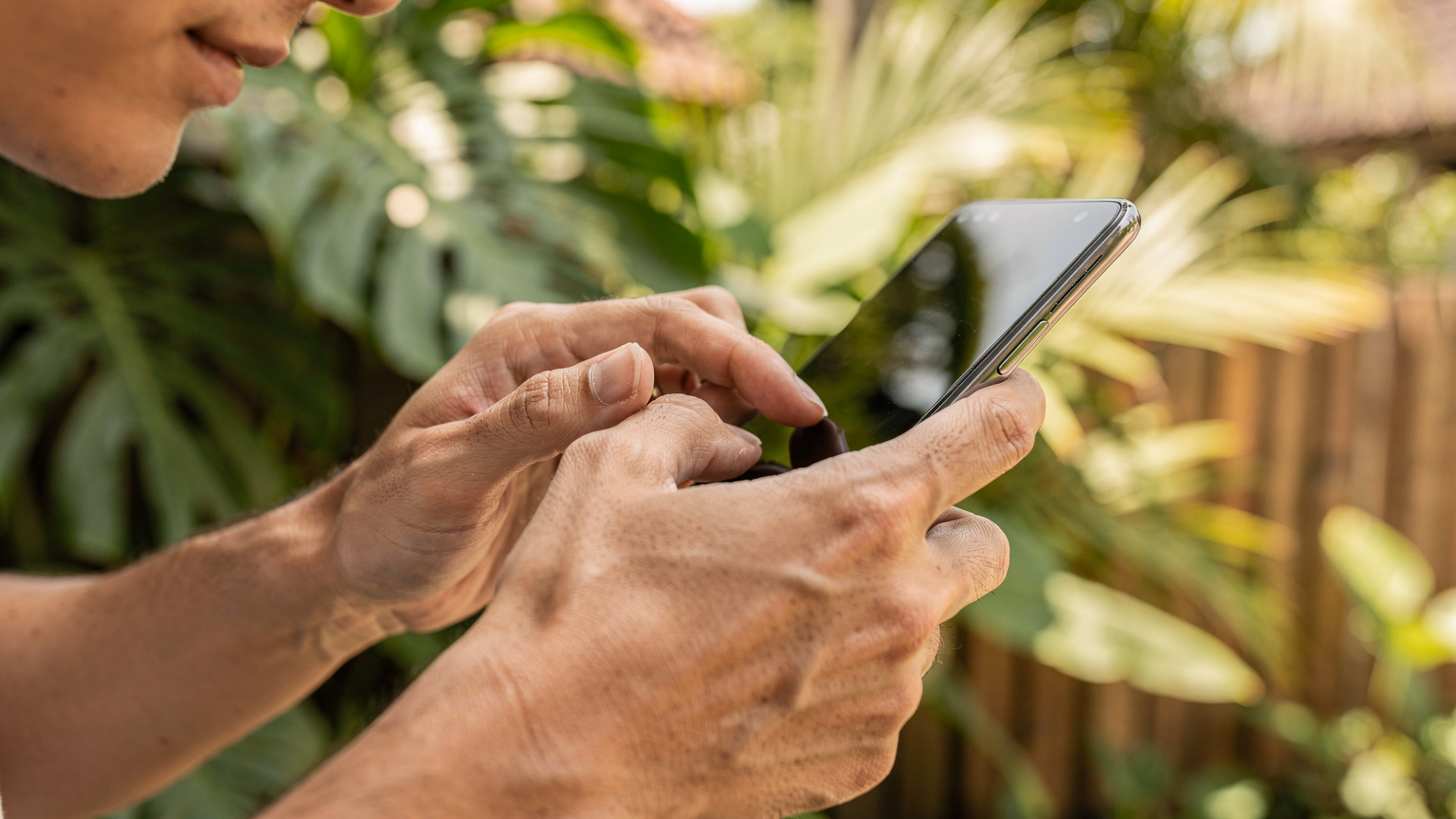Close-up of a person's hands holding a smartphone, with tropical foliage slightly blurred in the background, suggesting a connection in a natural setting.
