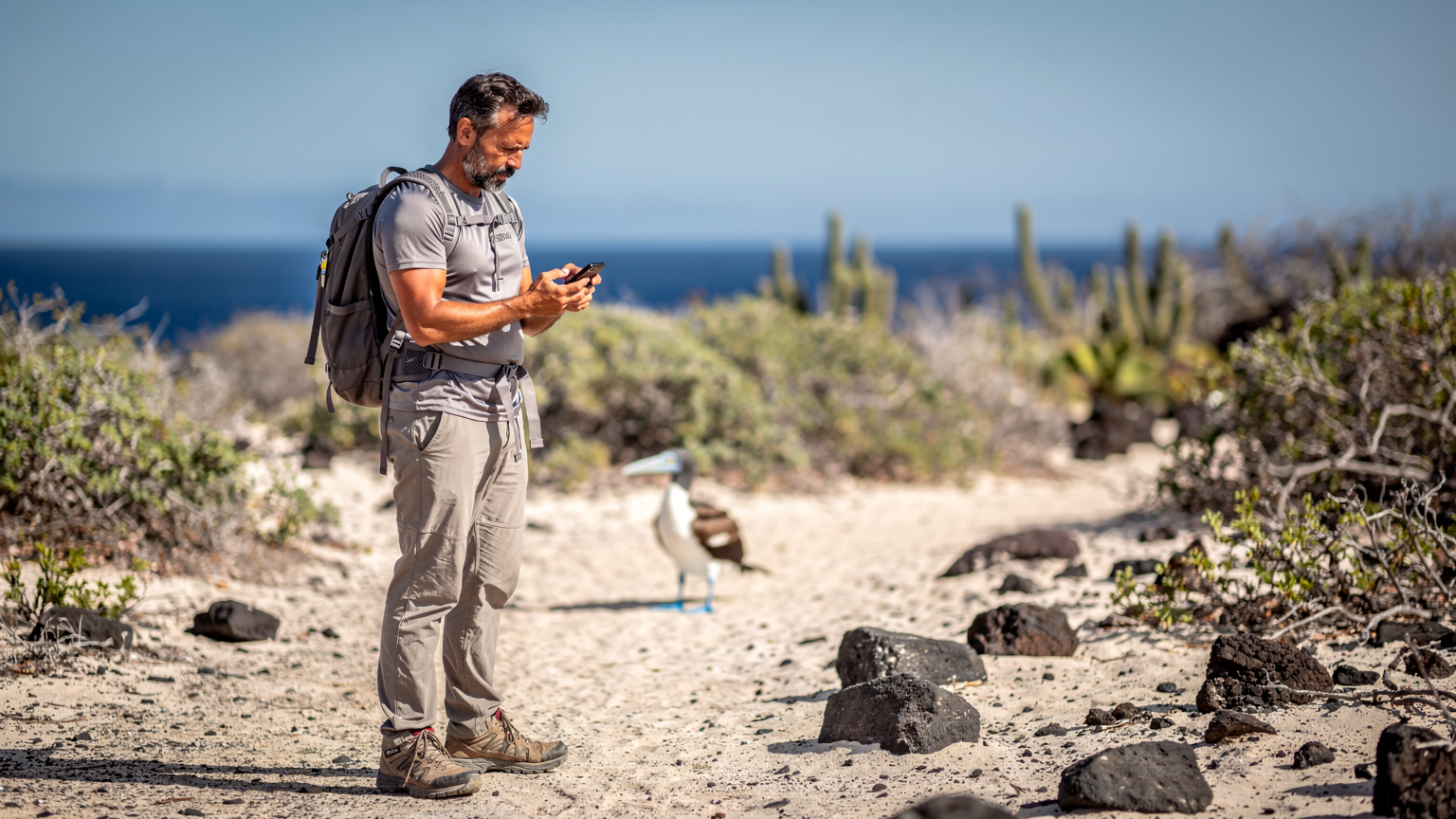 Ein Reisender nutzt sein Smartphone, um auf den Galápagos-Inseln eine Karte zu prüfen, während im Hintergrund ein blauer Fußtölpel zu sehen ist.