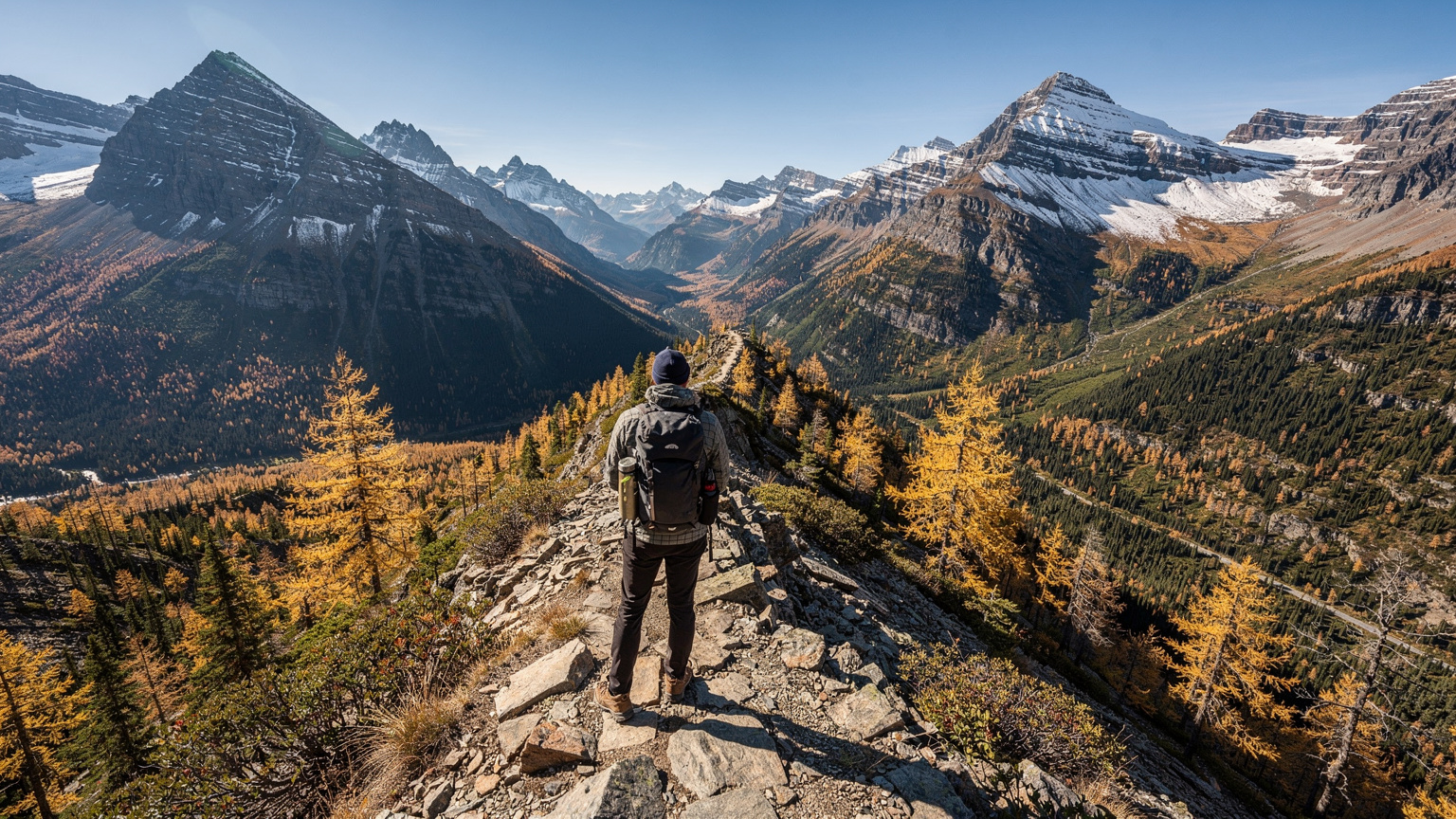 A lone hiker stands atop a ridge overlooking a vast valley in the Canadian Rockies, the larch trees below shimmering golden in the autumn sun.