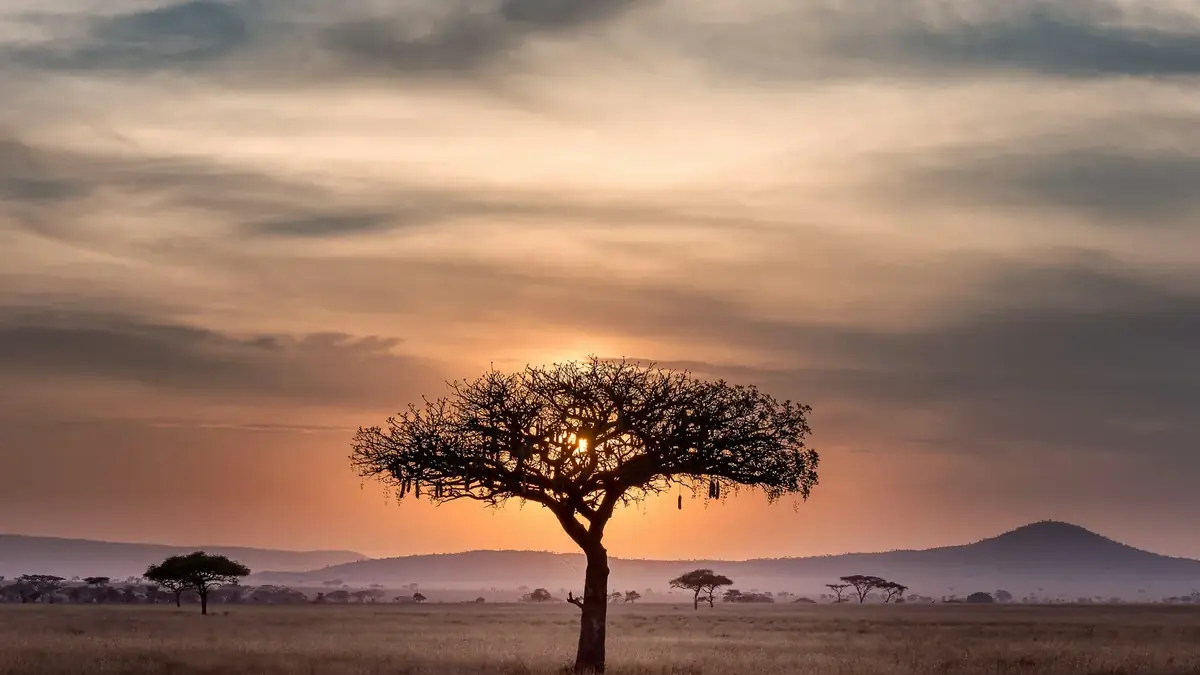 Tanzanie