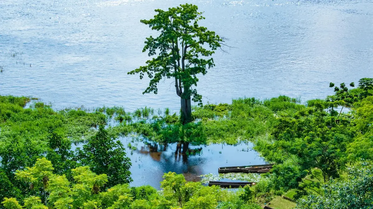 Kongo - Brazzaville
