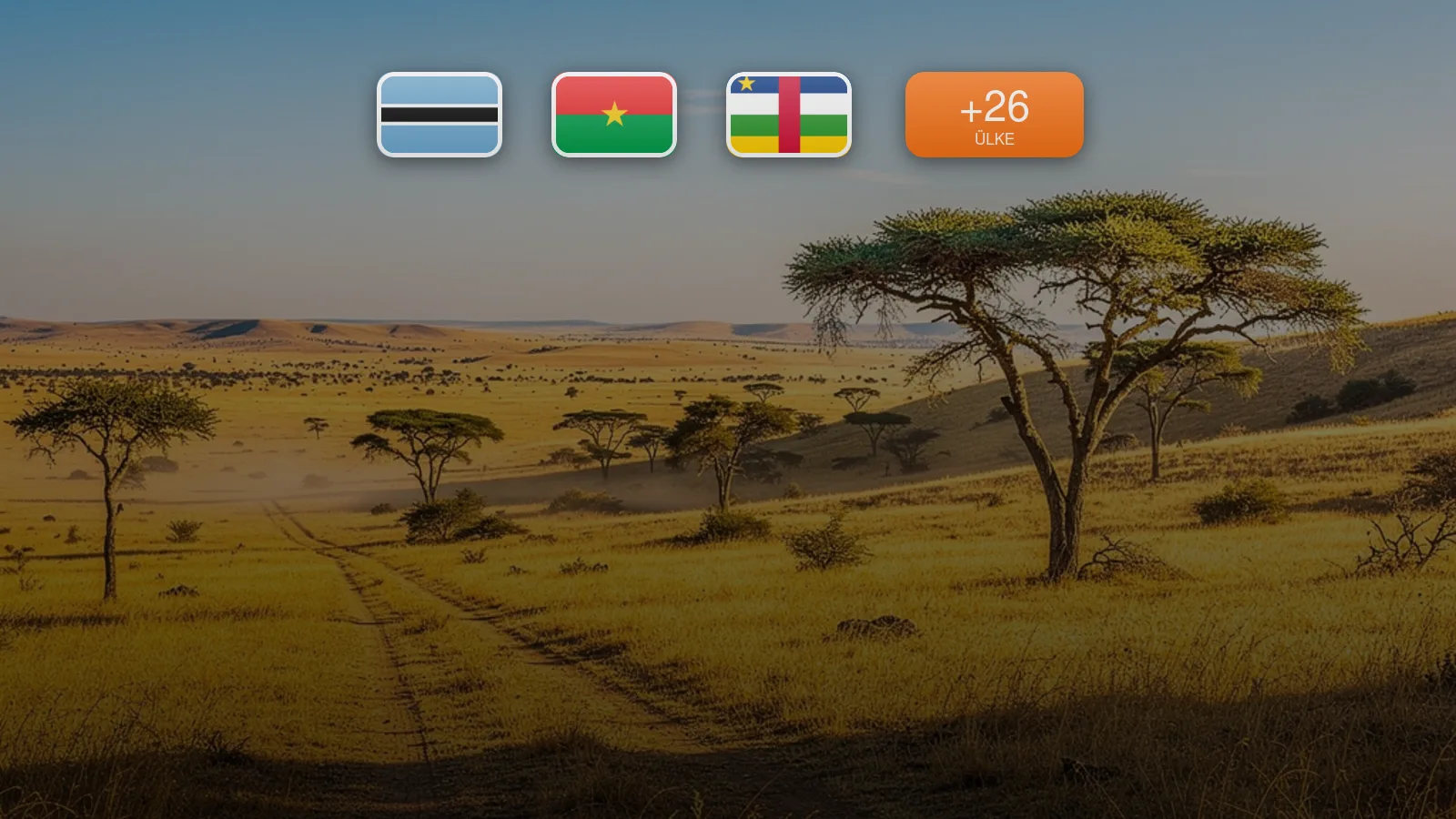 eSIM destination